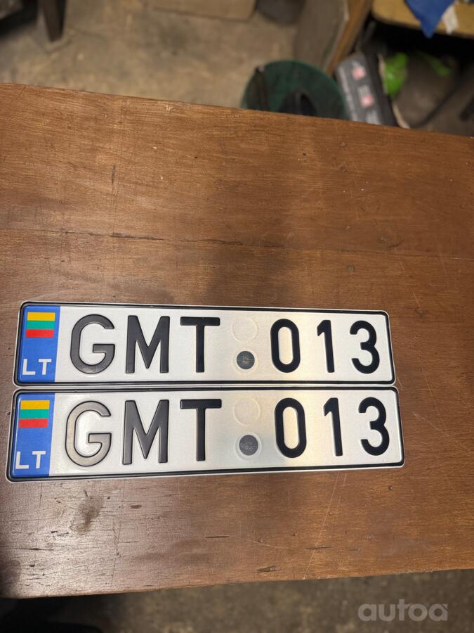 GMT 013