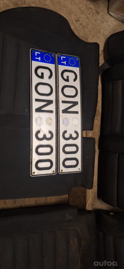 GON300