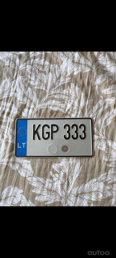 KGP333