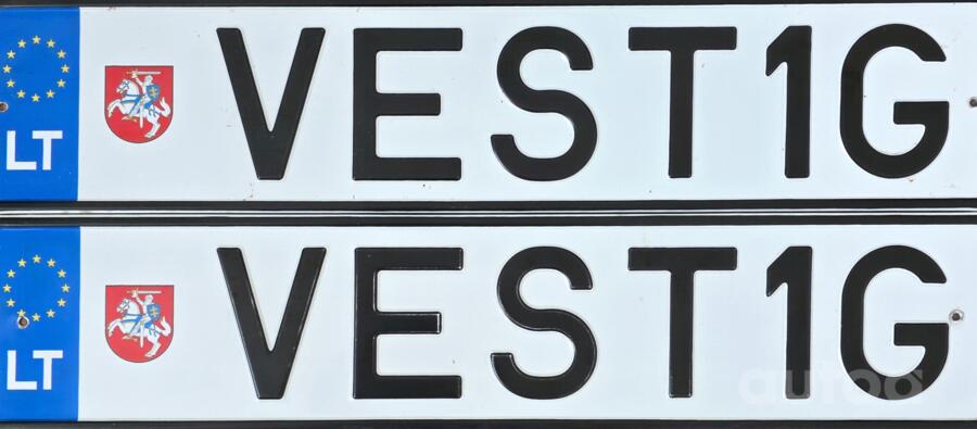 VEST1G