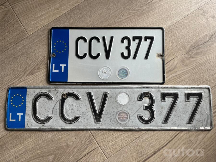 CCV377