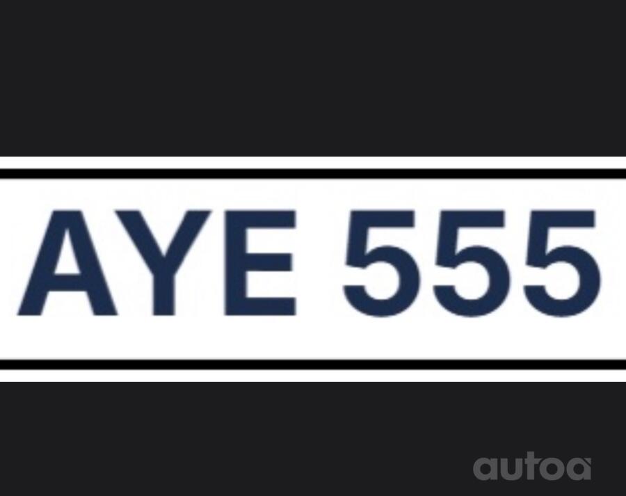 AYE 555