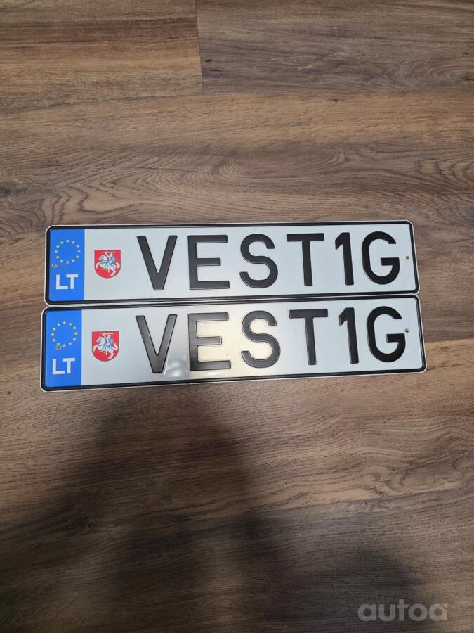 VEST1G