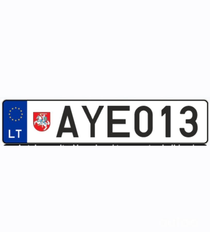 AYE013