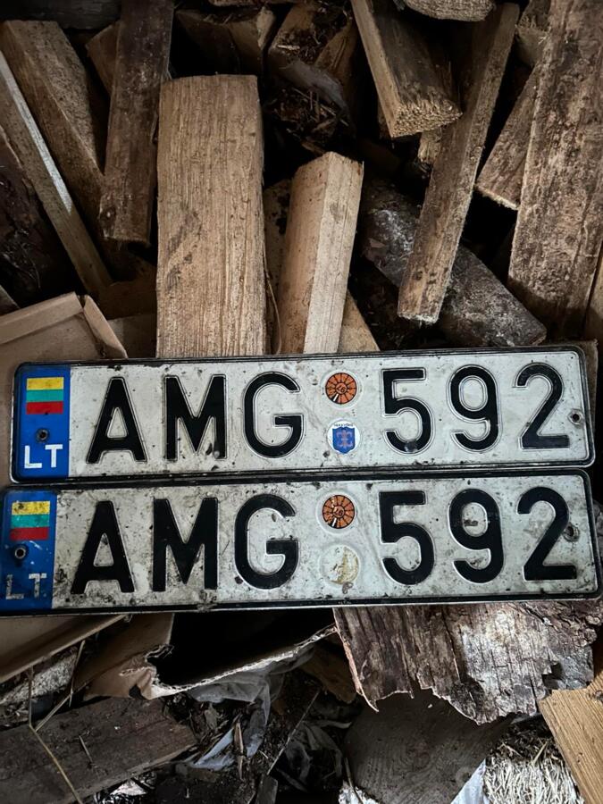 AMG592