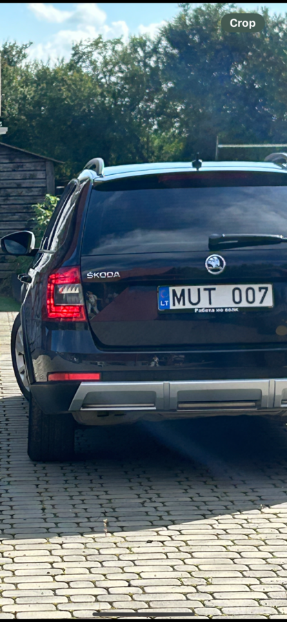 MUT 007