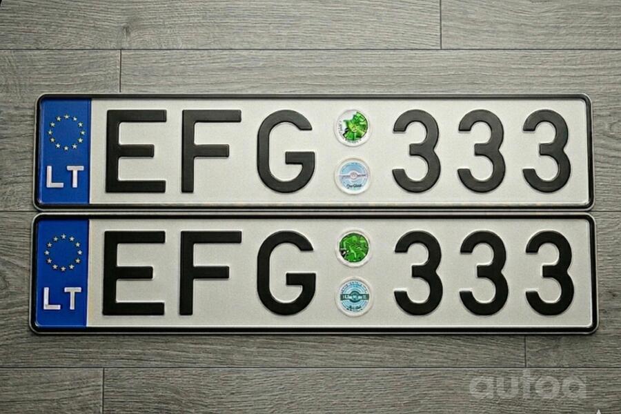 EFG 333