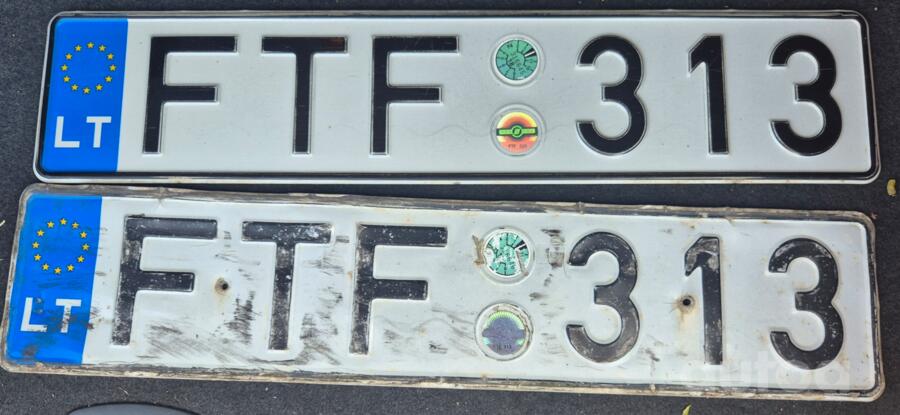 FTF 313
