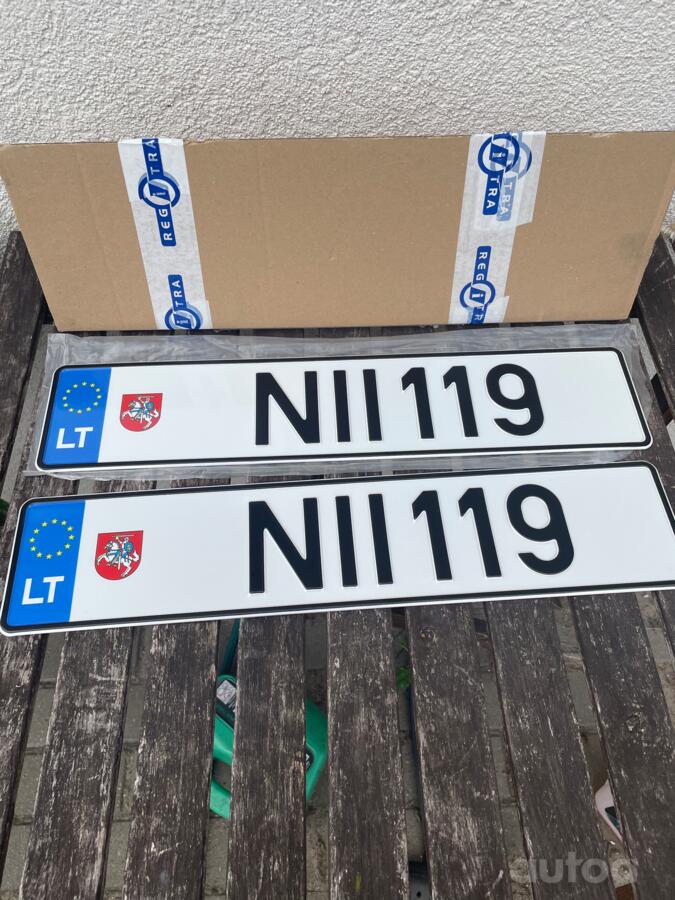 NII119