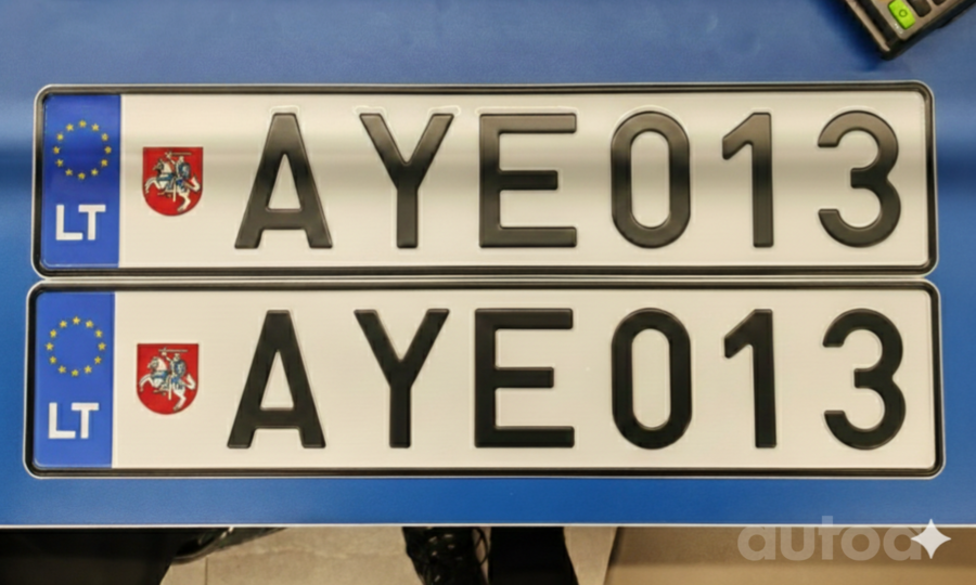AYE013