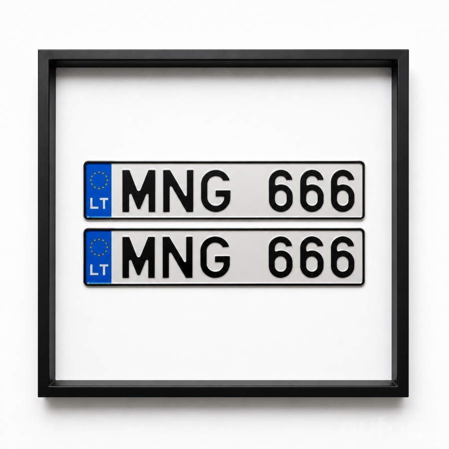 MNG666