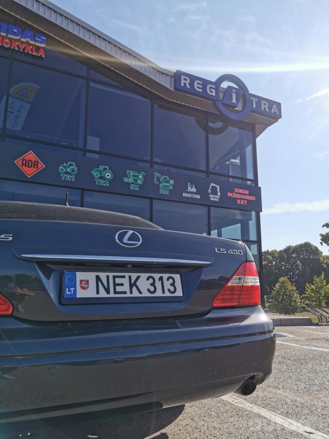 NEK313