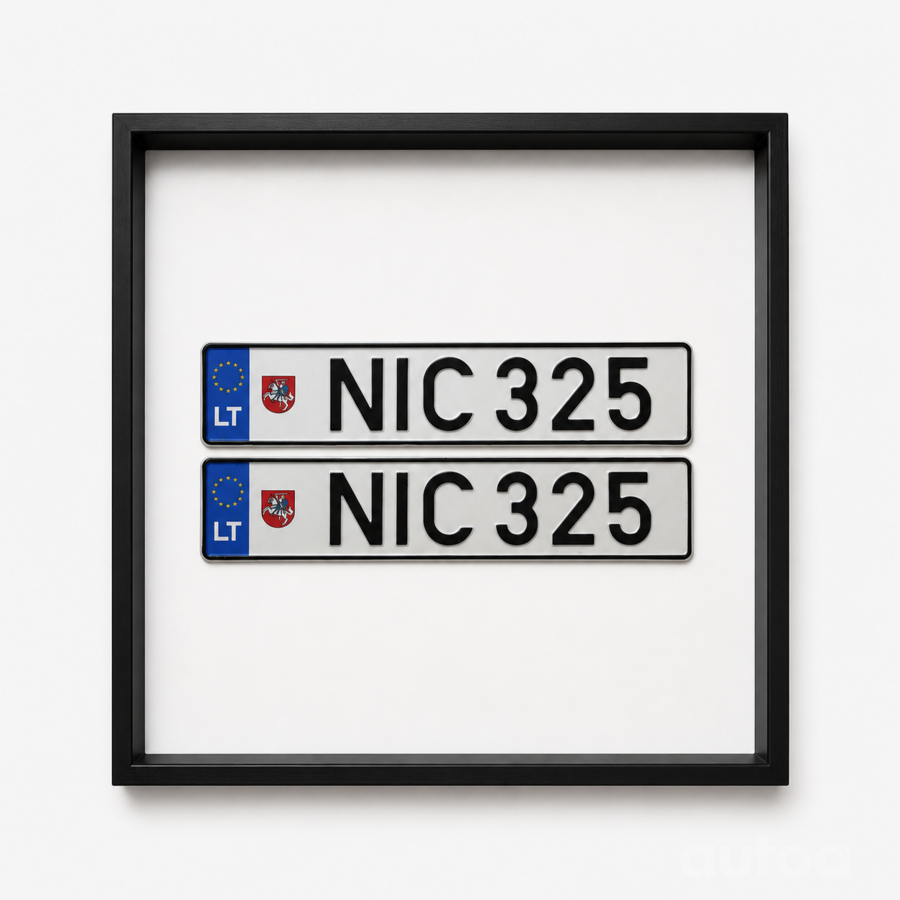 NIC325