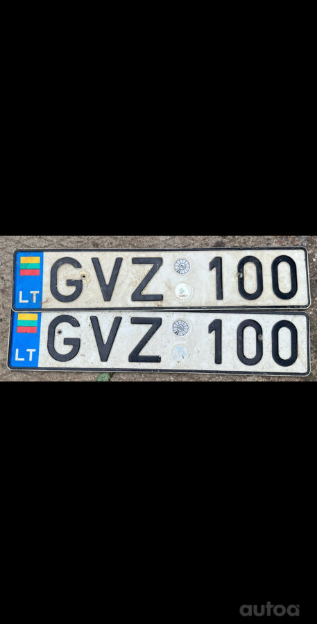 GVZ100