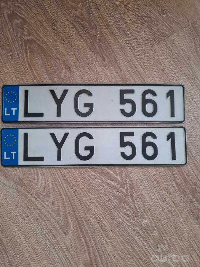 LYG561