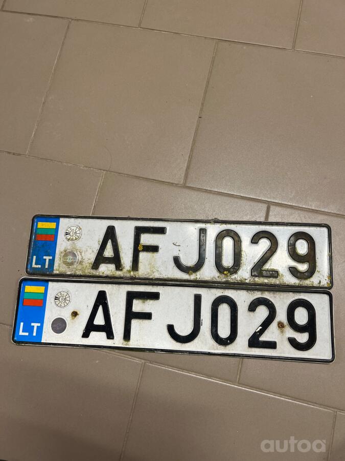 AFJ029
