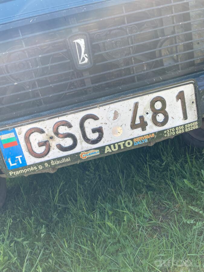 GSG 481