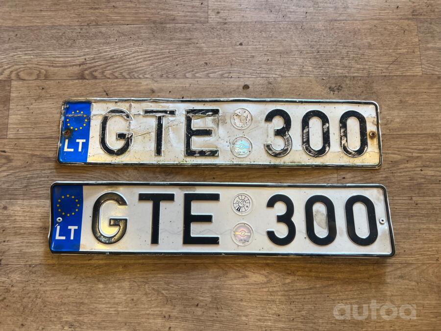 GTE300