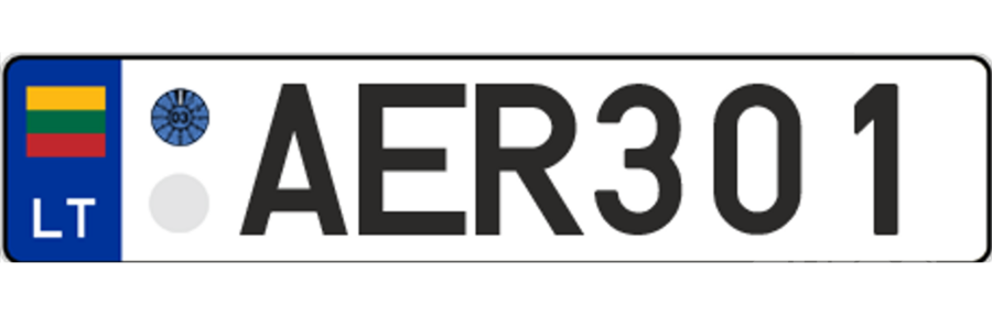 AER301