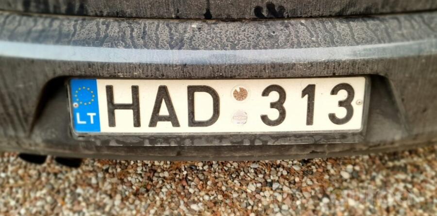 HAD 313