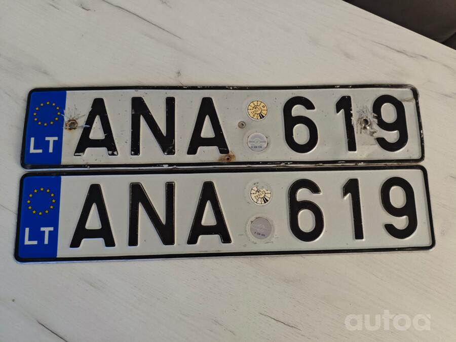 ANA619