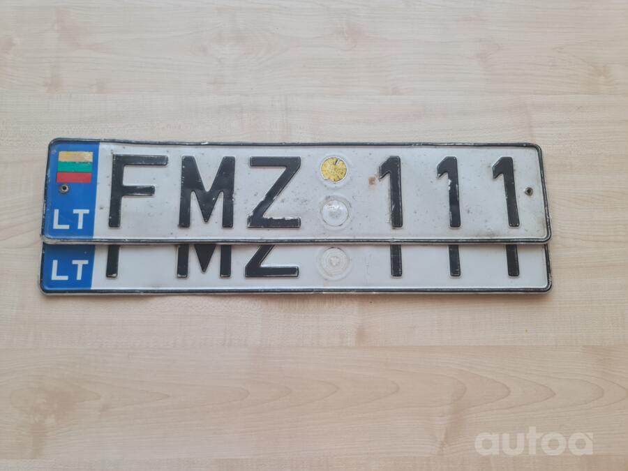 FMZ 111