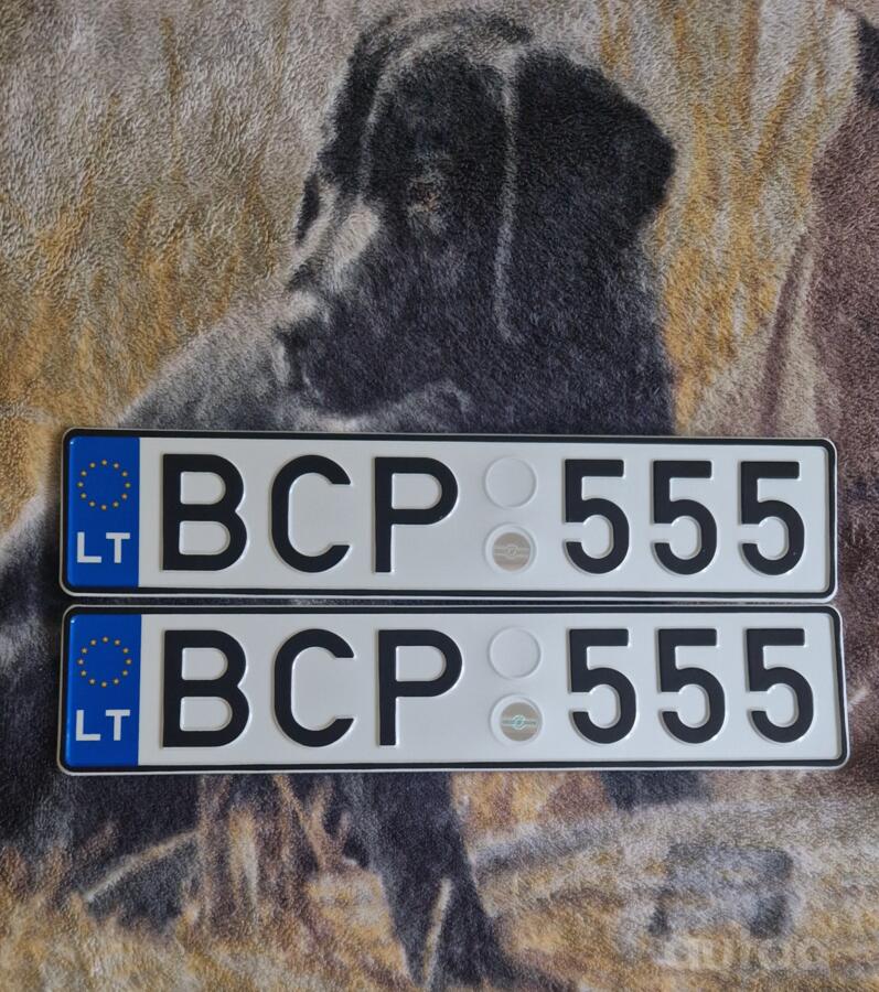 BCP555