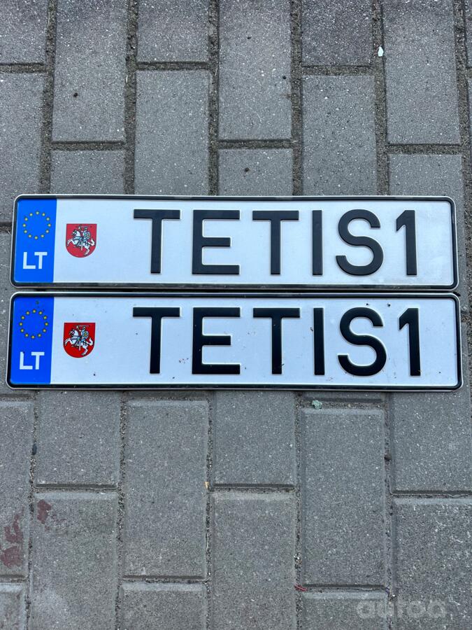 TETIS1