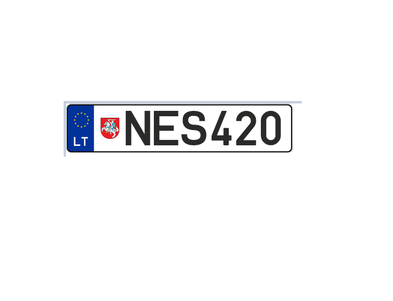 NES420