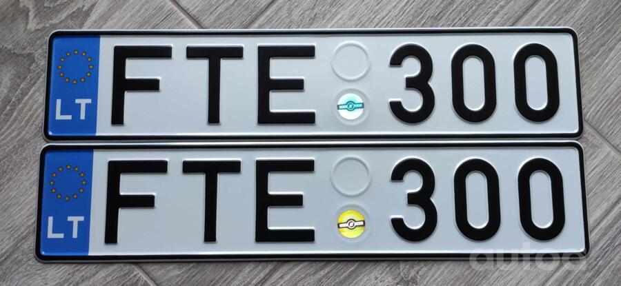 FTE300
