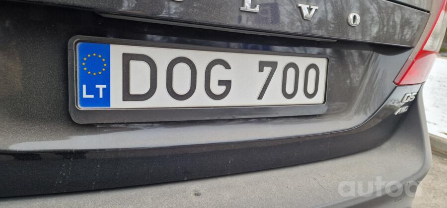 DOG700