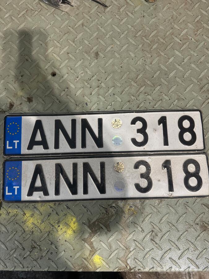 ANN318