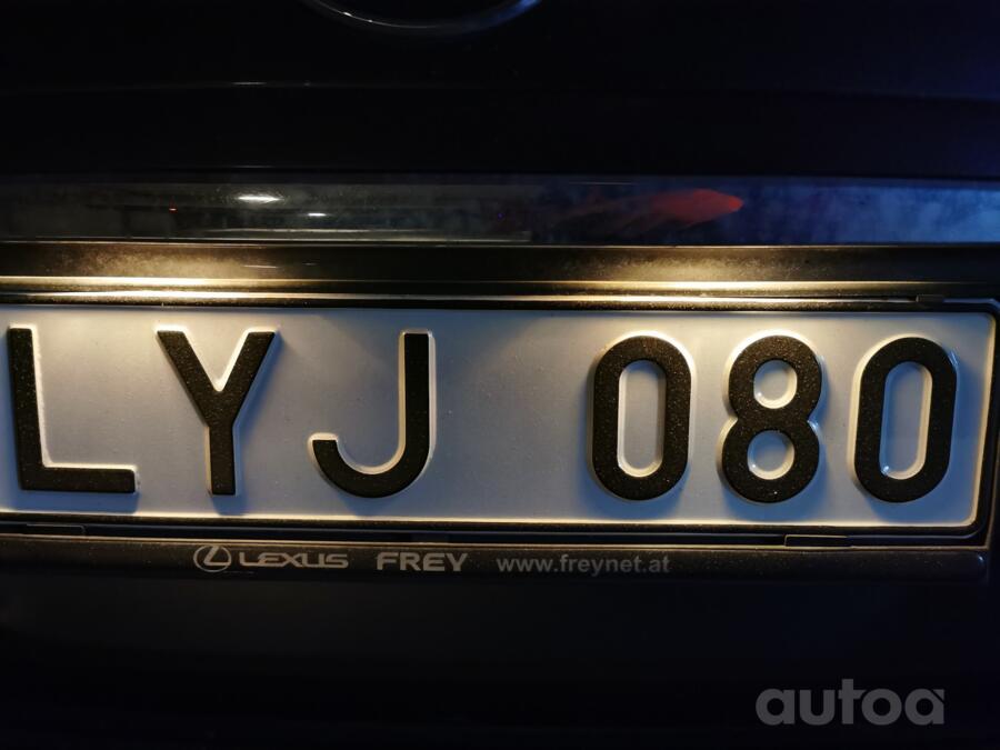 LYJ080