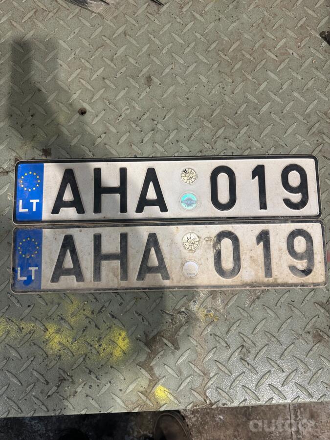 AHA019