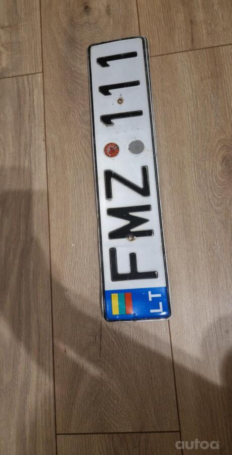 FMZ 111