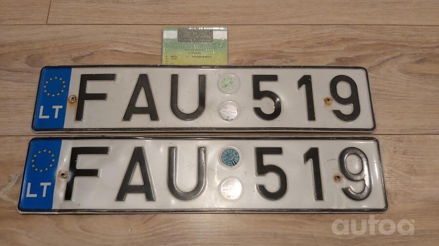 FAU519