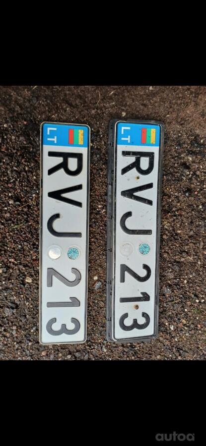 RVJ 213