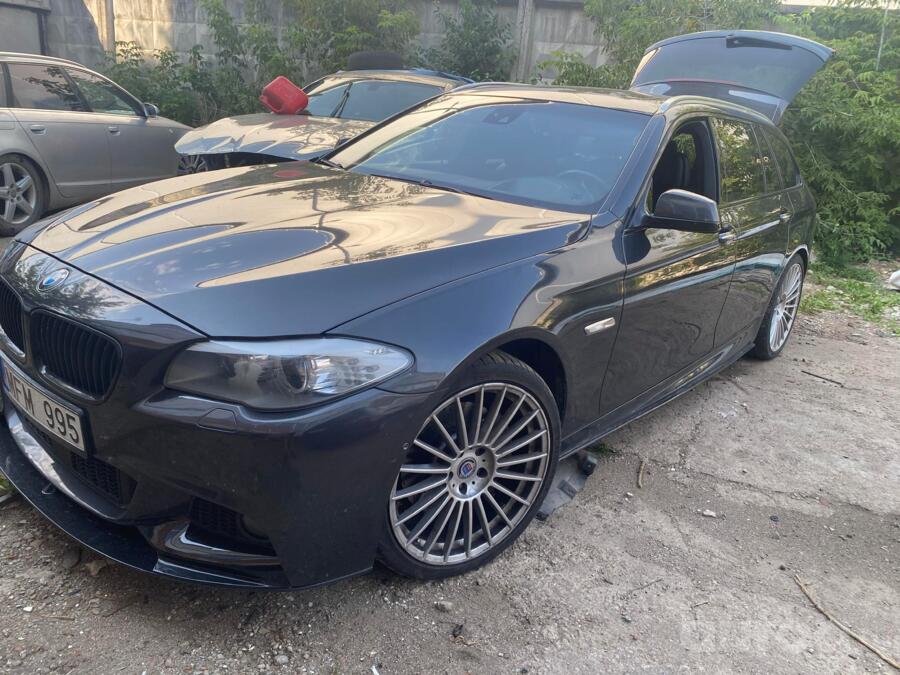 Alpina, lietie