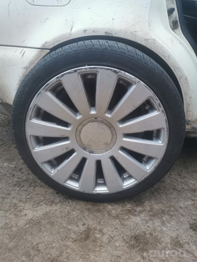 Audi, lietie