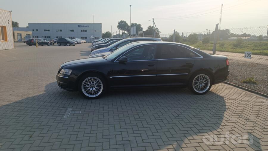 Audi, lietie