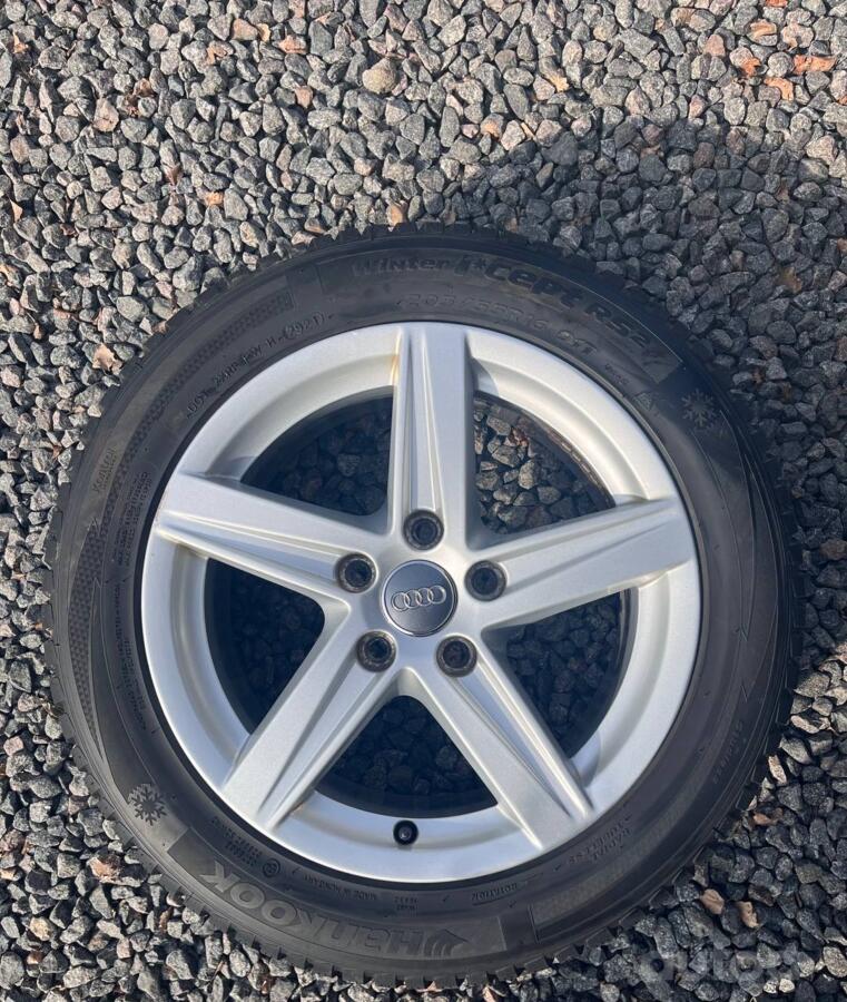 Audi, lietie
