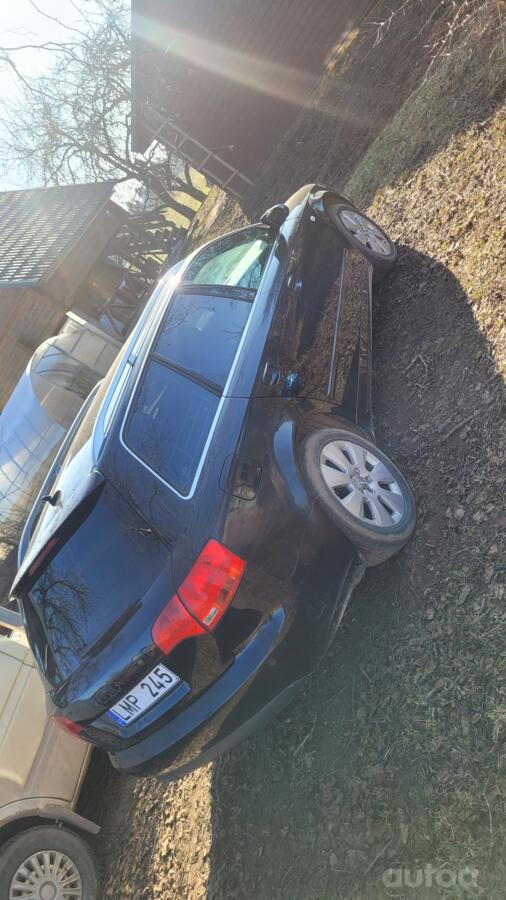 Audi, lietie