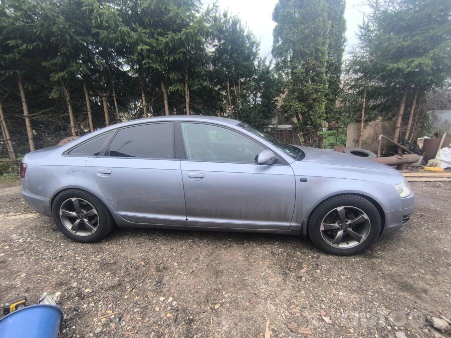 Audi, lietie