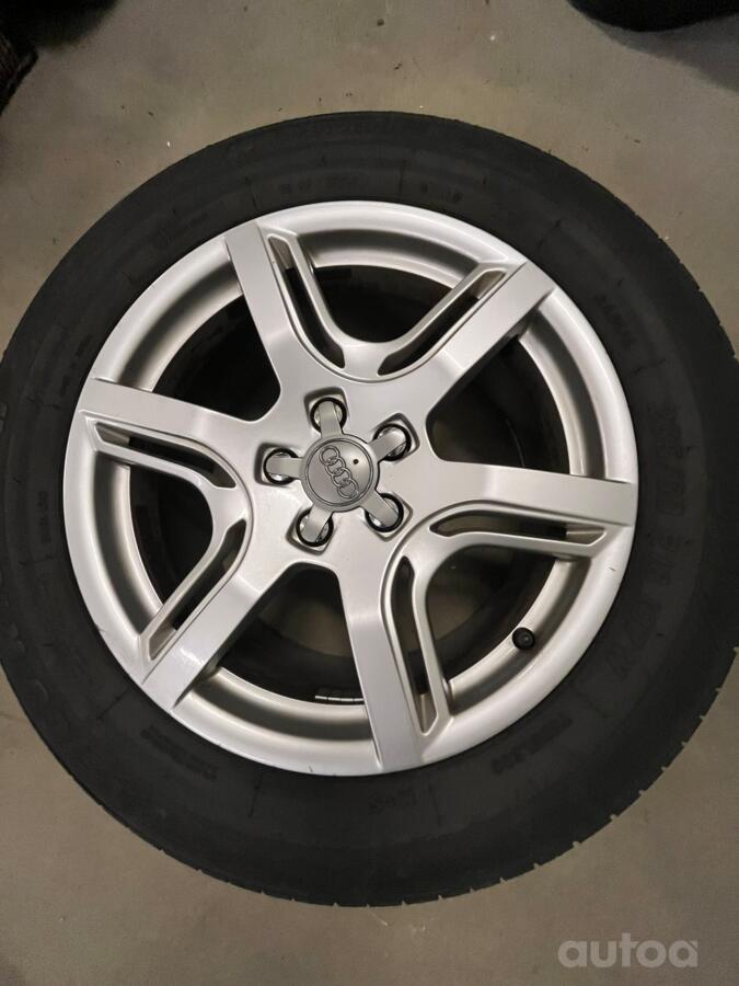 Audi Ronal, lietie