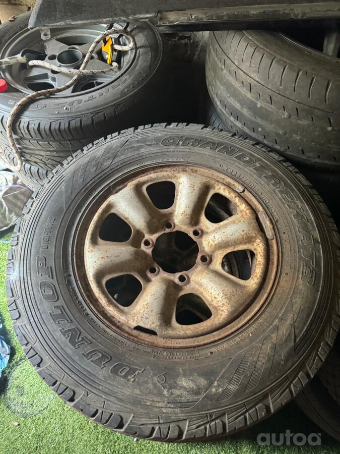 Toyota, lietie
