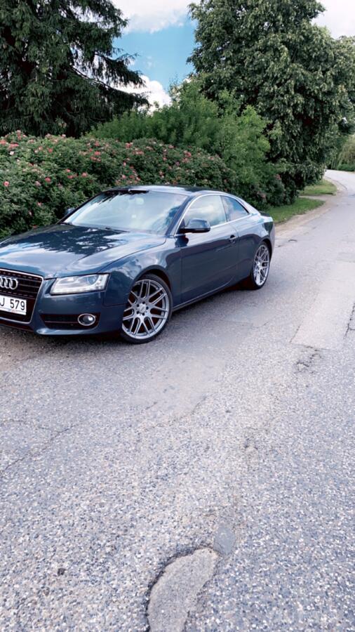 Audi, lietie