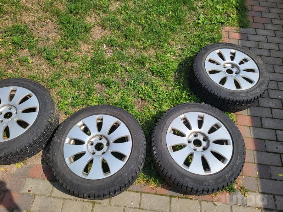 Audi, lietie