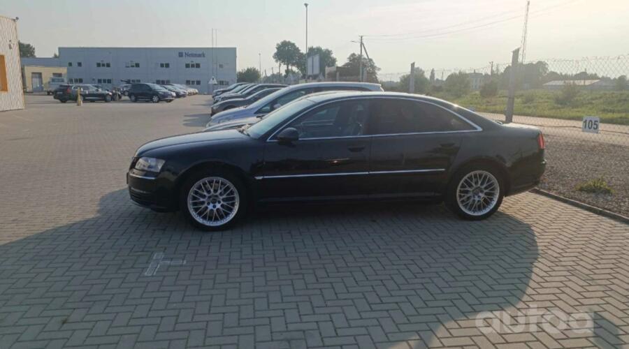 Audi, lietie