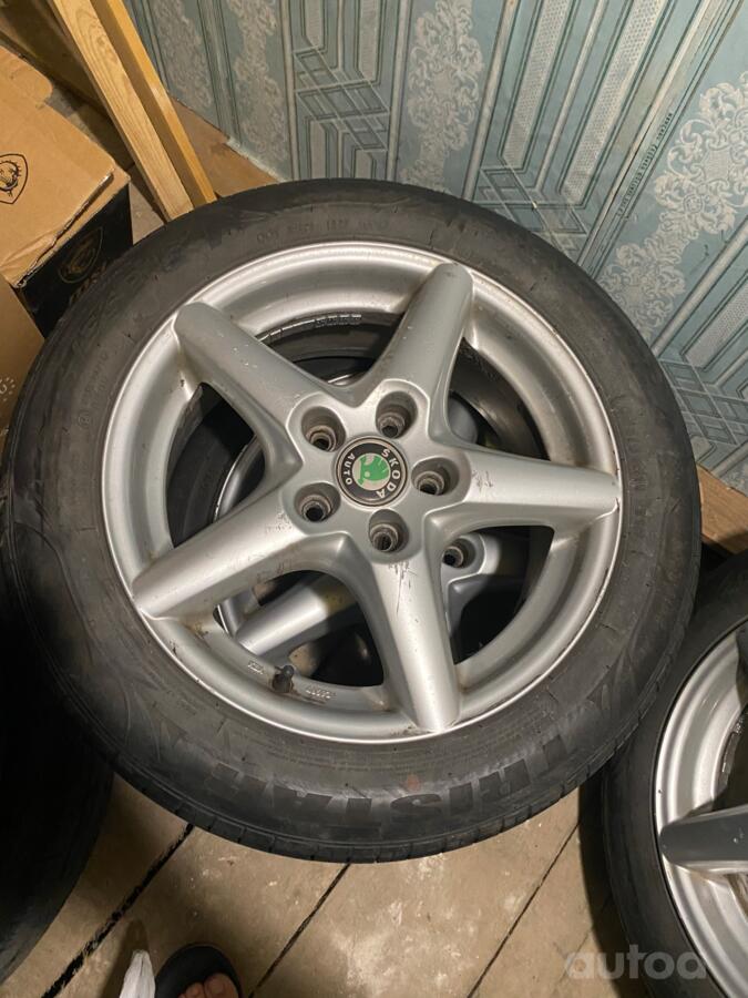 Skoda, lietie