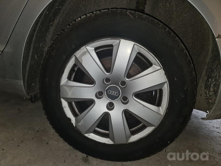 Audi, lietie